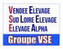 groupe_vse